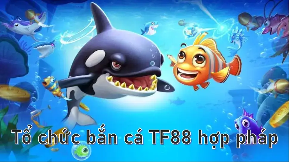Tổ chức bắn cá TF88 hợp pháp